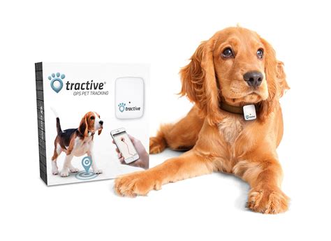 tractive gps pet tracking